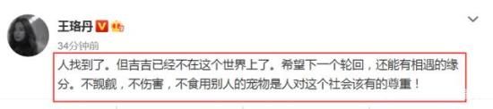 王珞丹 吉吉已经不在这个世界了 王珞丹发寻鸭启事后续！